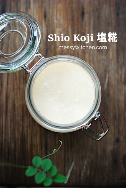 Shio Koji 塩糀 (Salt Koji)